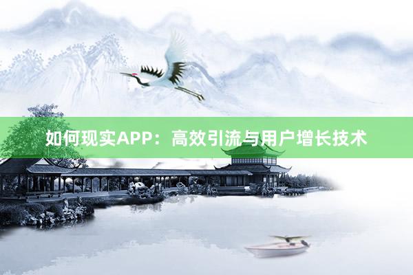 如何现实APP：高效引流与用户增长技术