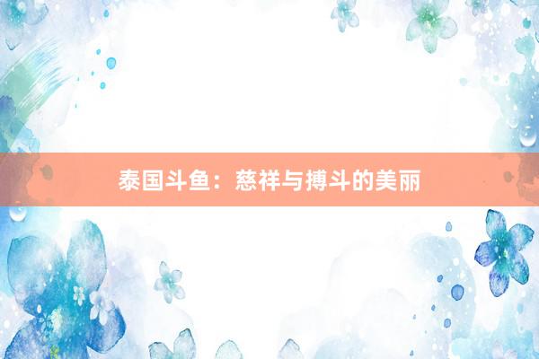 泰国斗鱼：慈祥与搏斗的美丽